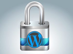 How to Password Protect WordPress Admin Directory