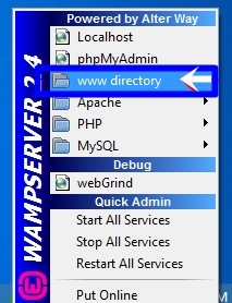 How to install and run wamp server